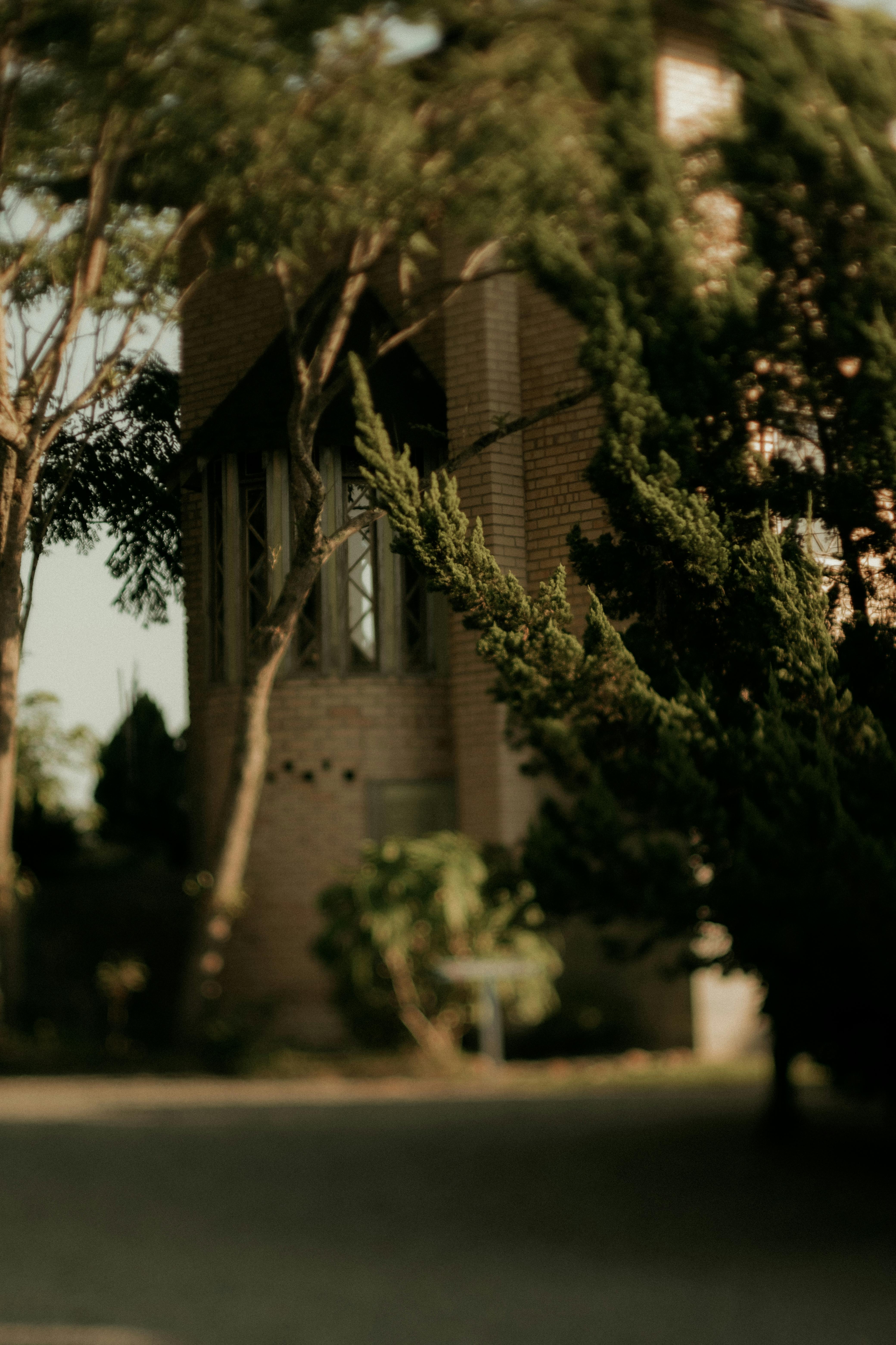 Free A brick house surrounded by trees captured in a soft, warm tone, creating a serene atmosphere. Stock Photo