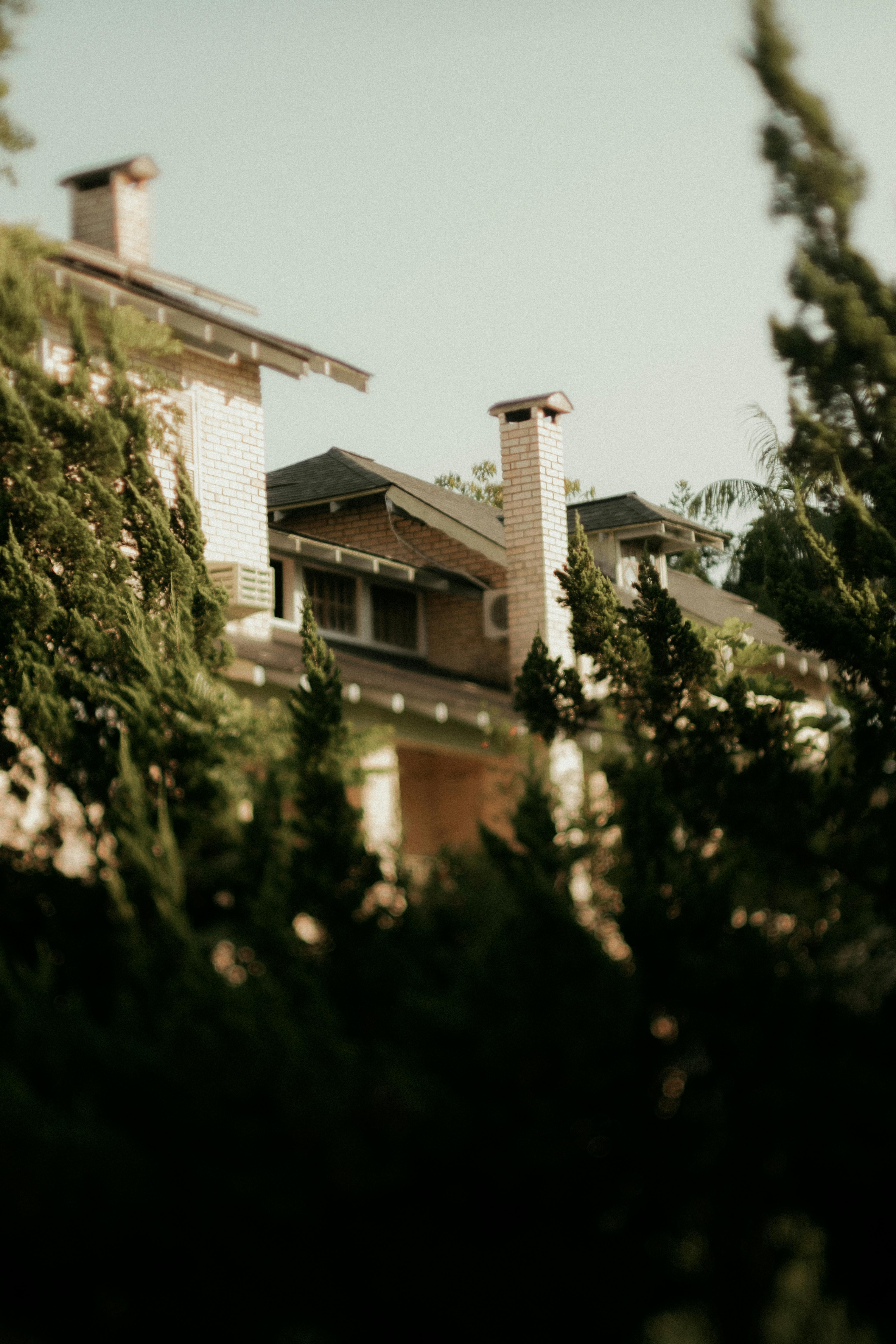 Free Brick house surrounded by lush greenery and tall trees in a soft, muted setting. Stock Photo