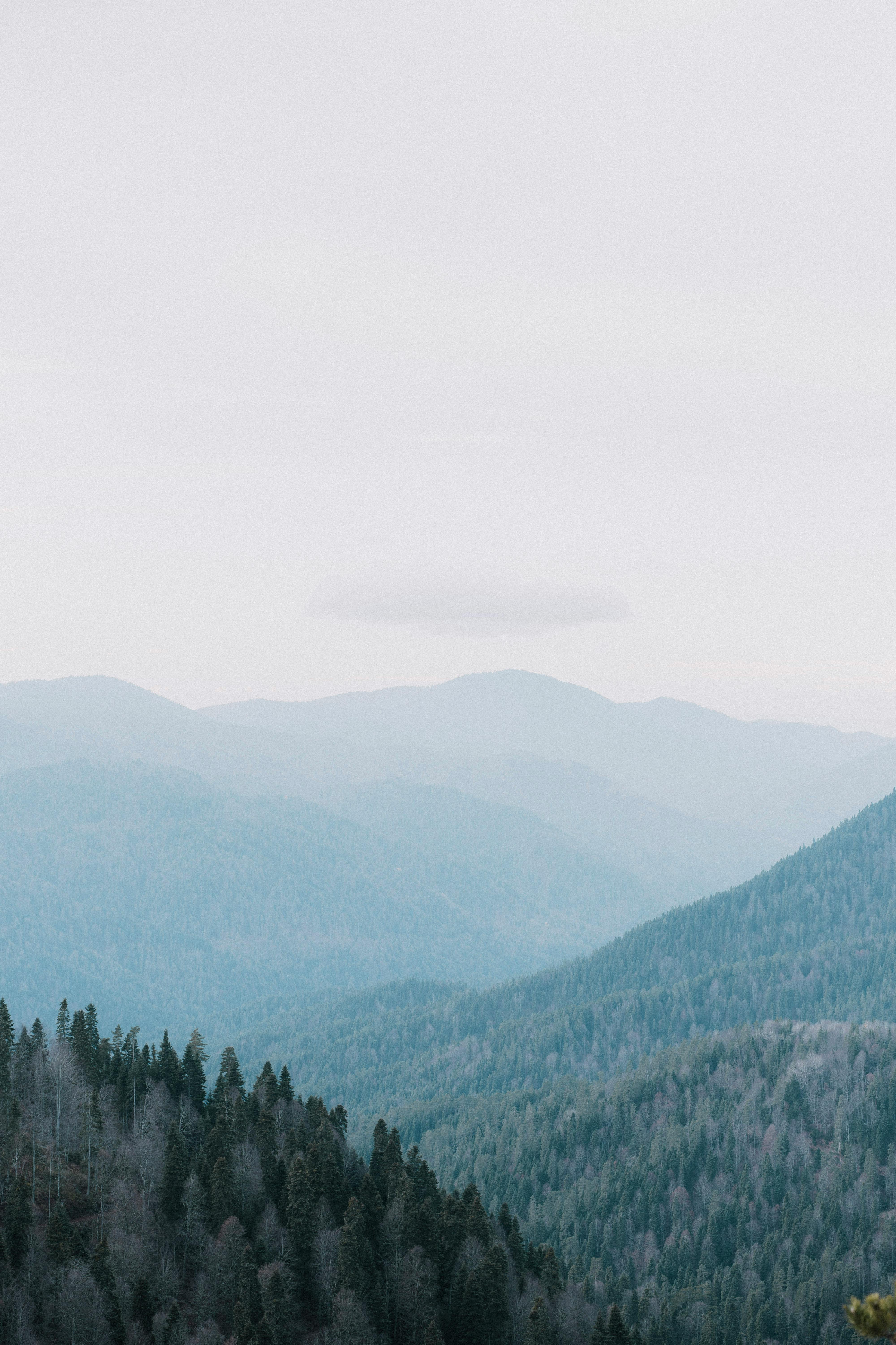 Gratis Vista tranquila de montañas brumosas y bosques en Bolu, Turquía. Foto de stock