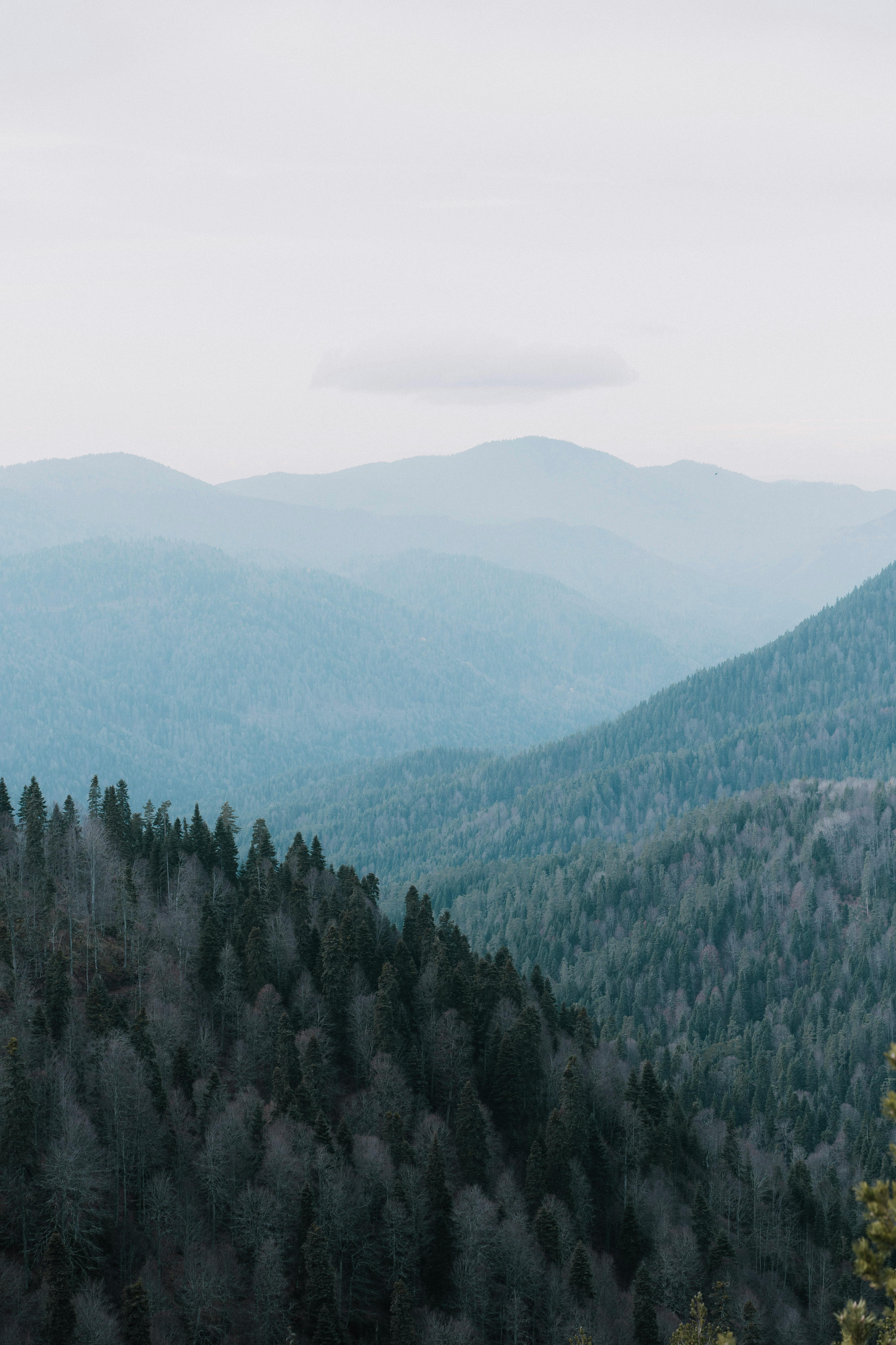 Безкоштовне стокове фото на тему «bolu türkiye, Азія, болу» стокове фото