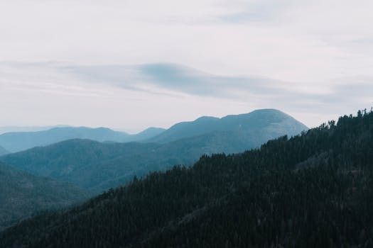 Peaceful mountain range in Bolu, Türkiye, showcasing lush greenery and a clear sky.