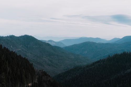Free Calm and expansive mountain landscape in Bolu, Türkiye, showcasing lush green forests and distant horizons. Stock Photo