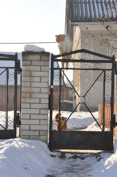 A charming photo of an orange cat atop a gate and a dog peeping through in a snowy village setting.