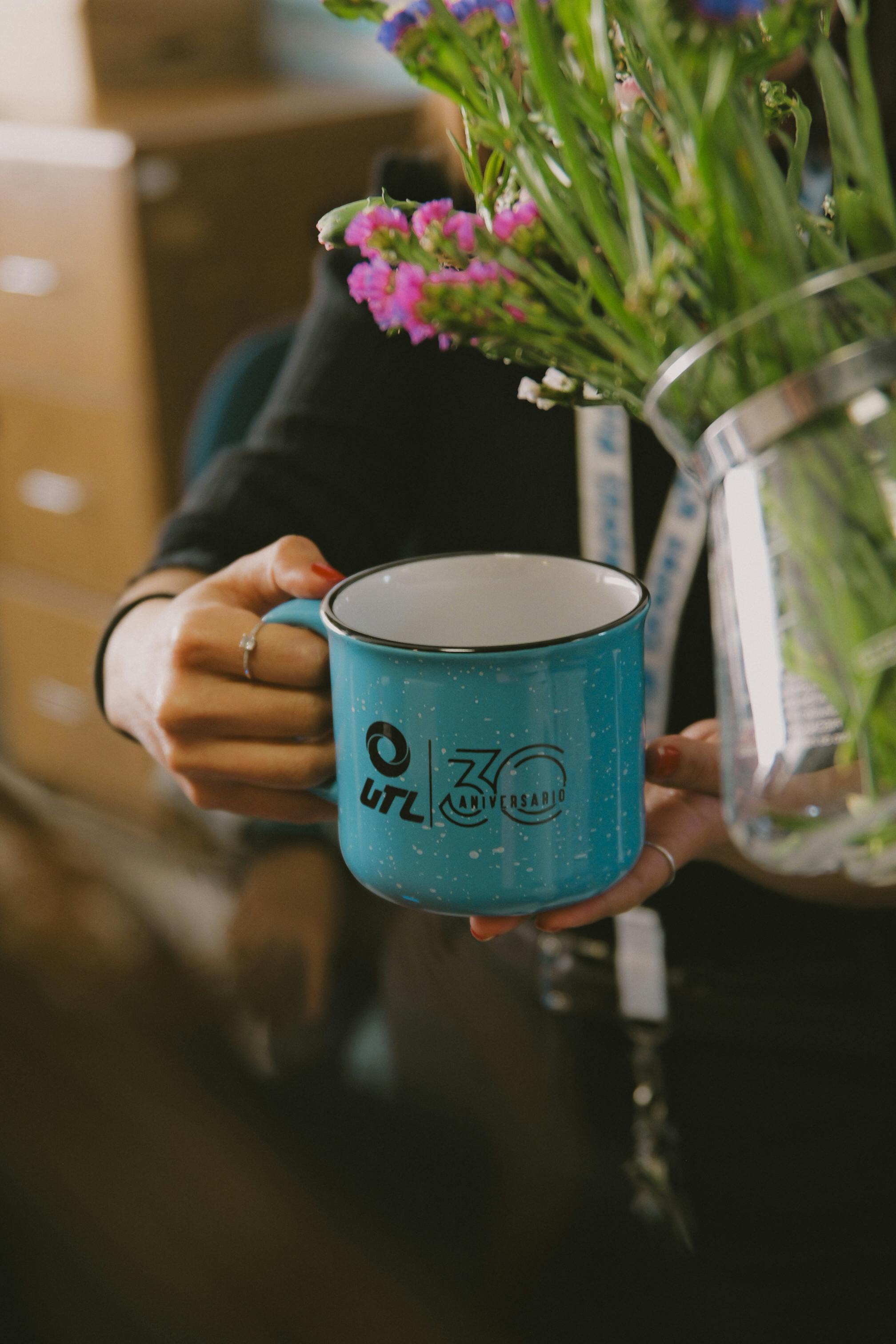 ฟรี คลังภาพถ่ายฟรี ของ # ในร่ม, leon, กวานาวาโต คลังภาพถ่าย