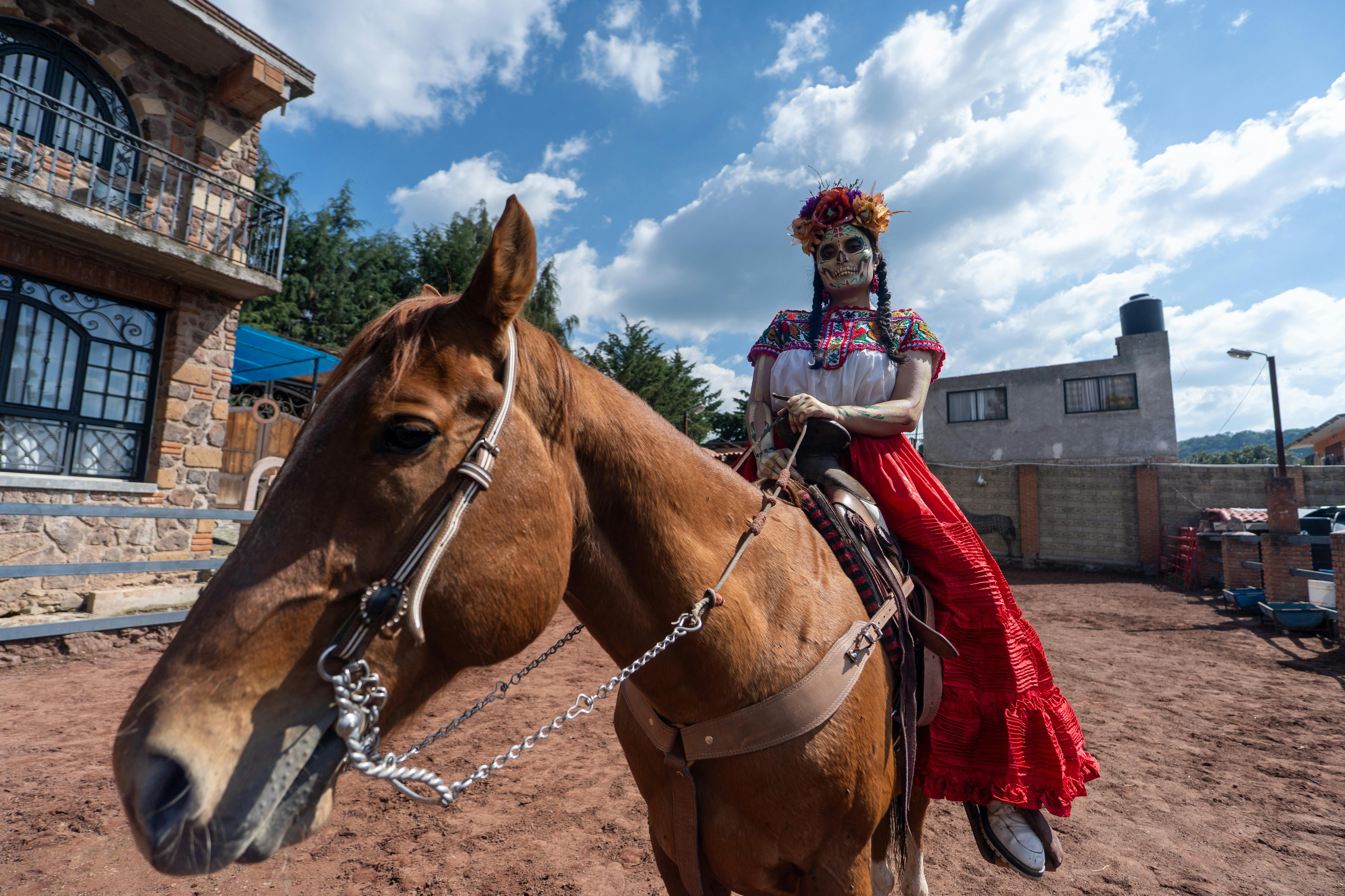 政治：立院授權政院簽署4項軍購 合約金額達千億