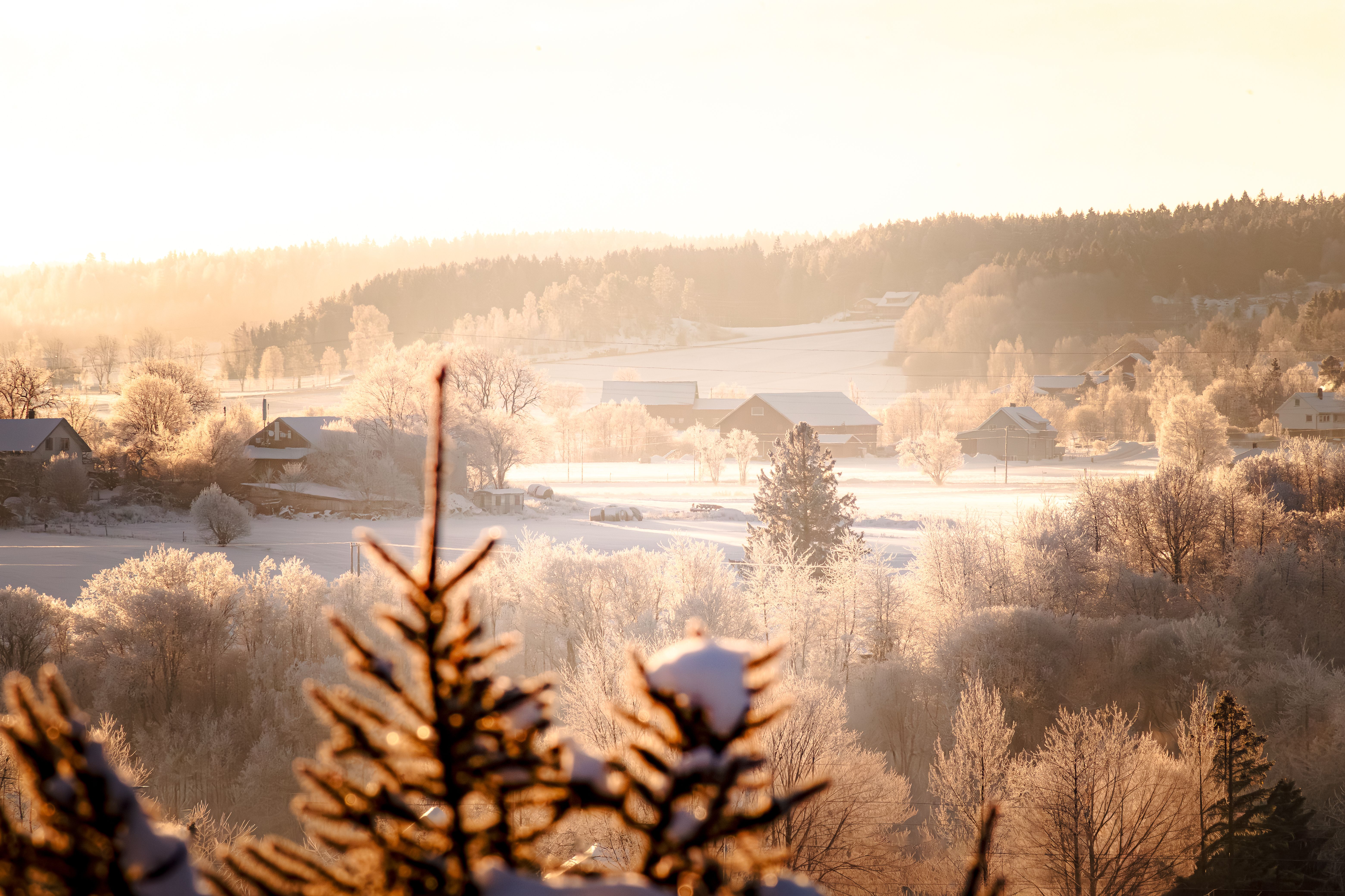 A serene winter landscape in Norway, capturing snow-covered trees and fields at sunrise.