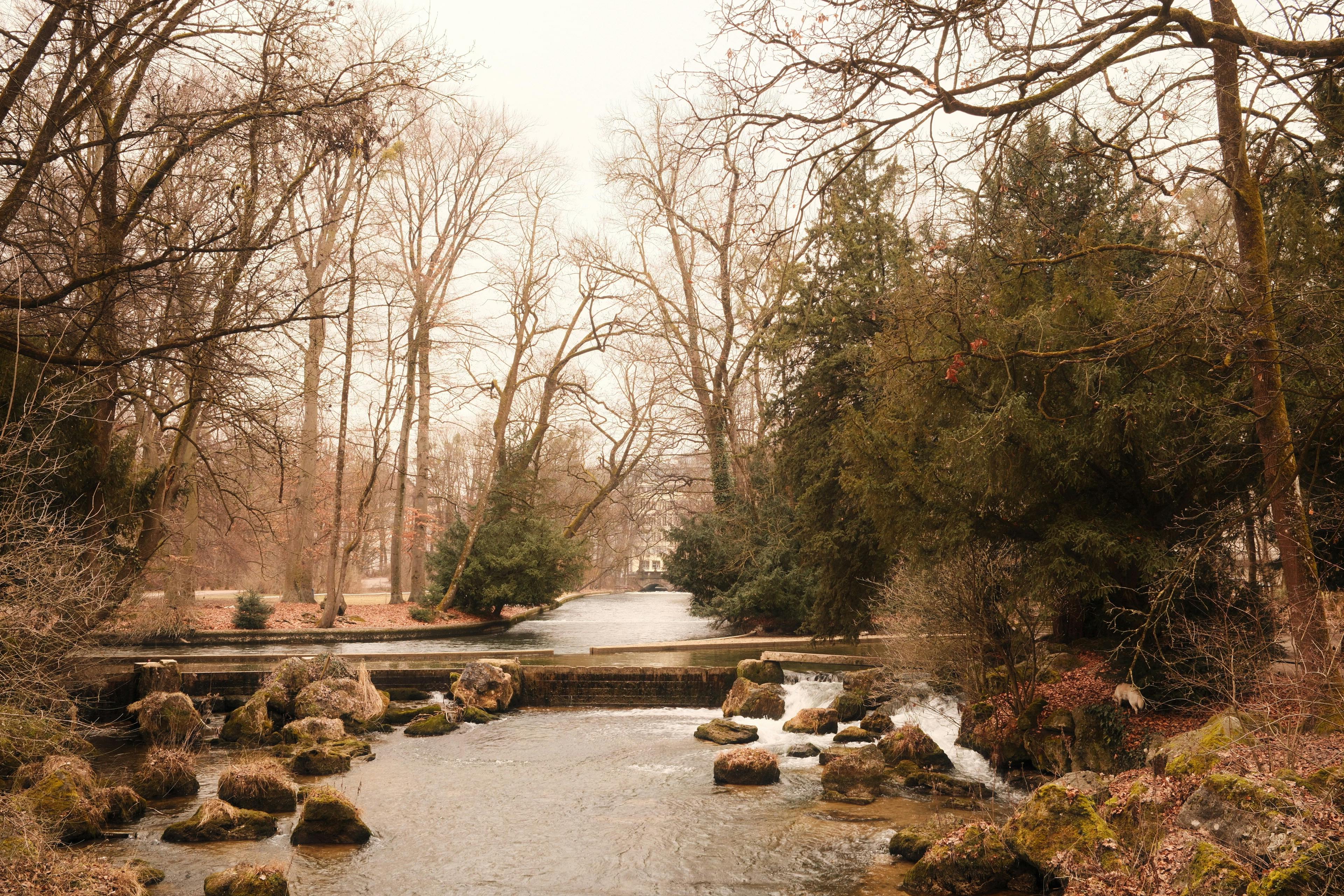 Δωρεάν Ήρεμη θέα στον ποταμό με δέντρα και βράχους στον Αγγλικό Κήπο, Μόναχο, κατά τη διάρκεια του χειμώνα. Φωτογραφία από στοκ φωτογραφιών