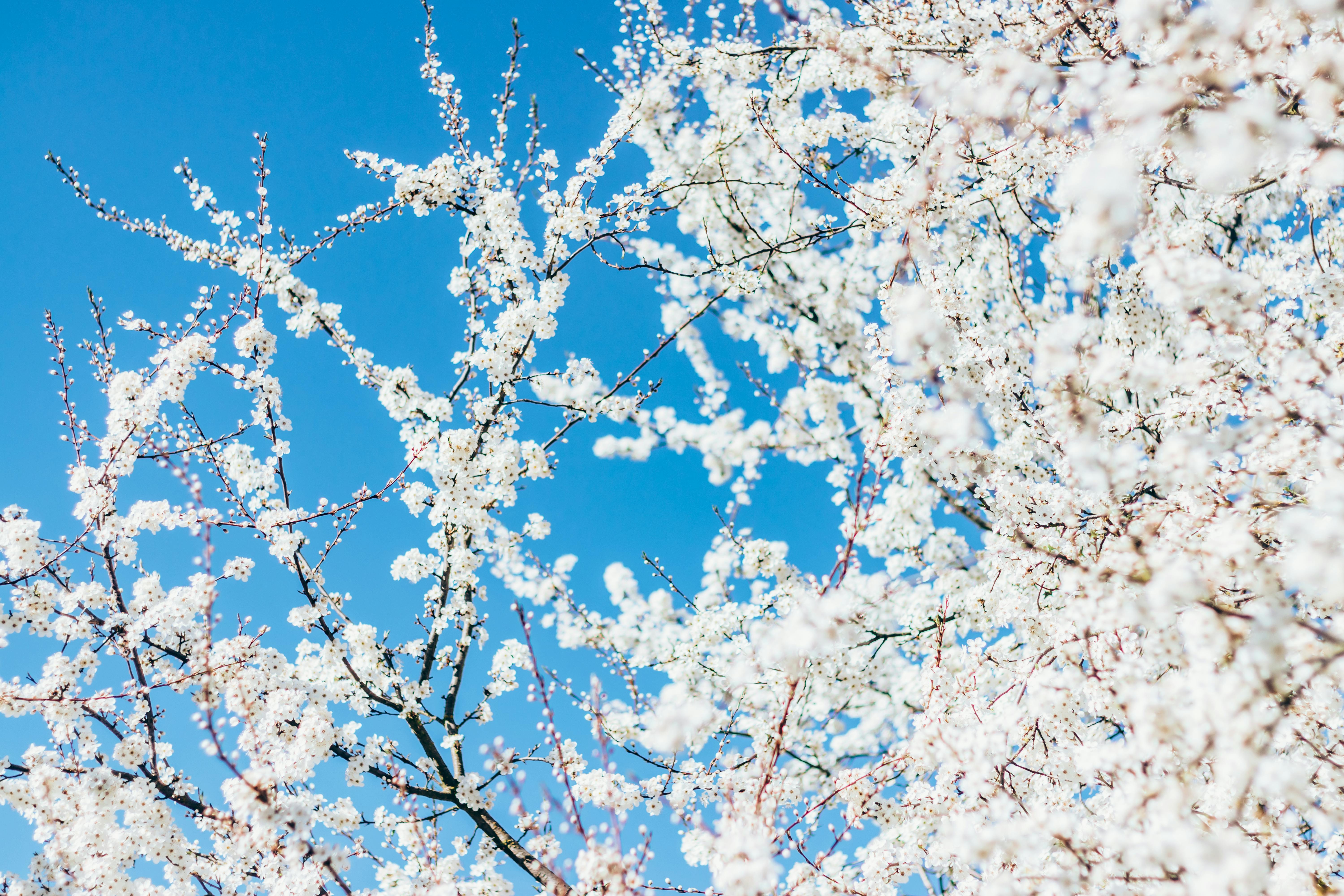 Complete Face moisturizers Comparison