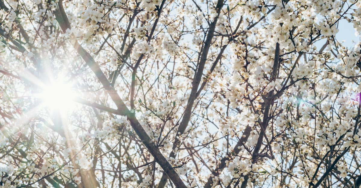 Comment offrir une journée détente à papa