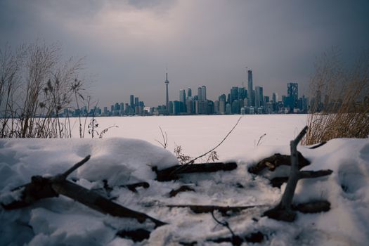 A breathtaking view of the Toronto skyline during winter, seen from a snowy shoreline across a frozen lake.