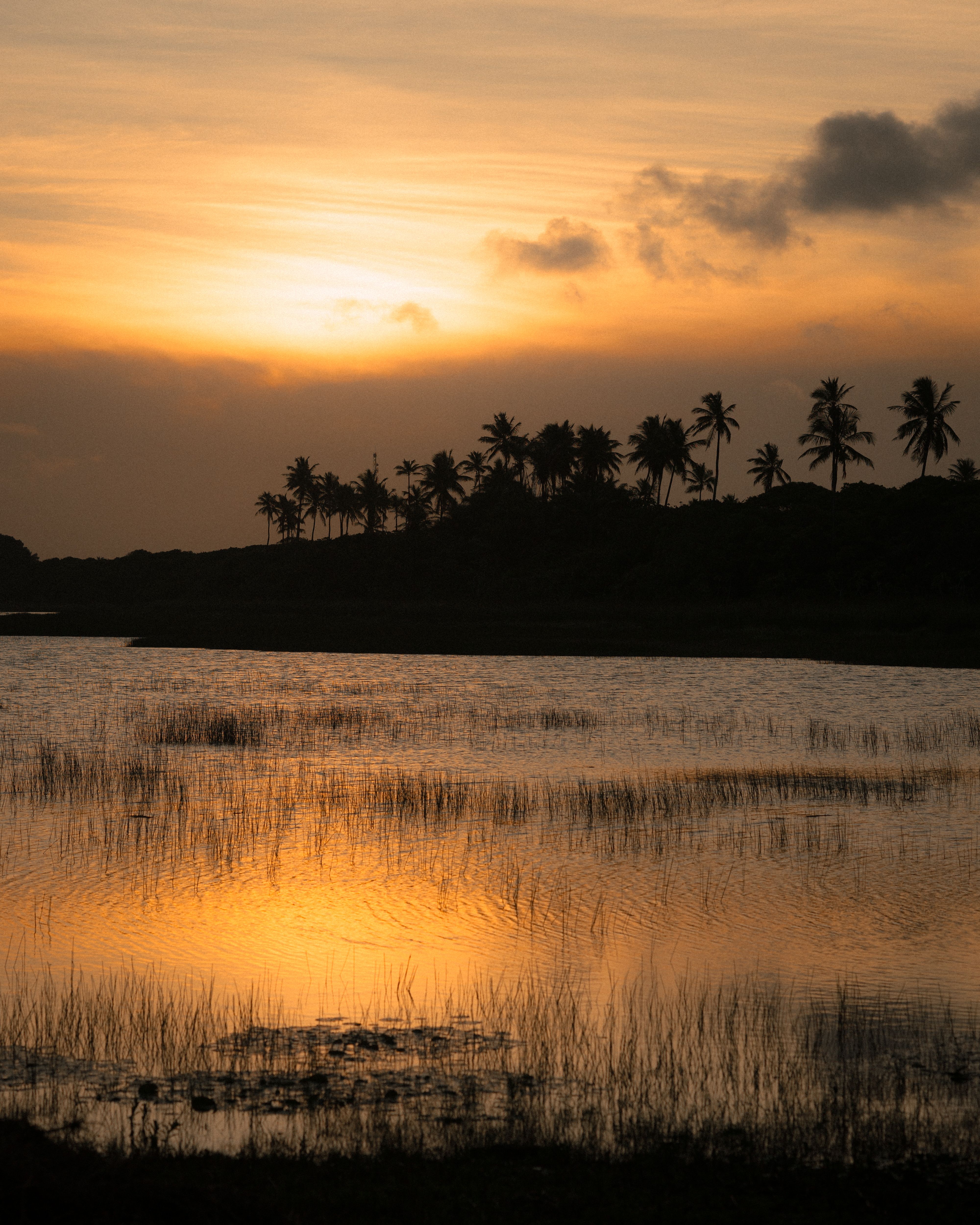 Serene Sunset Over a Tranquil Lake Landscape · Free Stock Photo