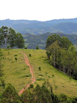 Lush green hills and trees in Itapira, São Paulo, showcasing vibrant nature and open trails.