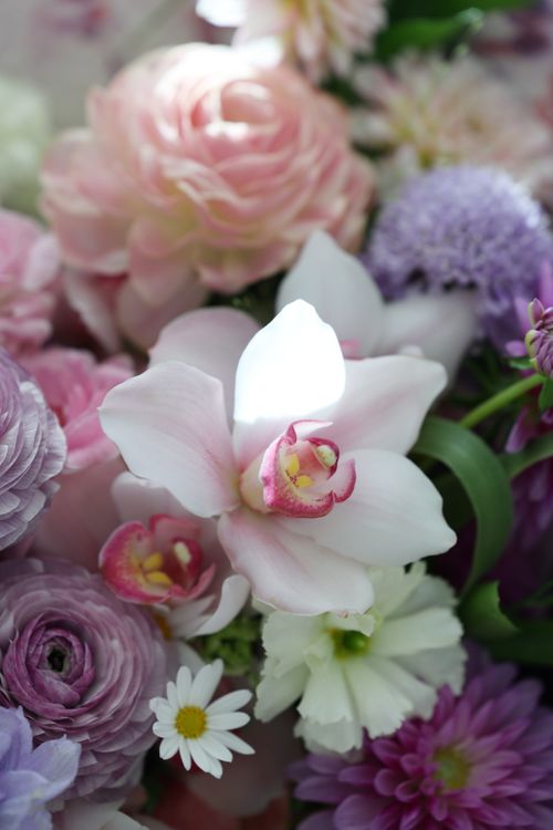 Free A beautiful bouquet featuring orchids, roses, daisies, and more in soft pastel shades. Stock Photo