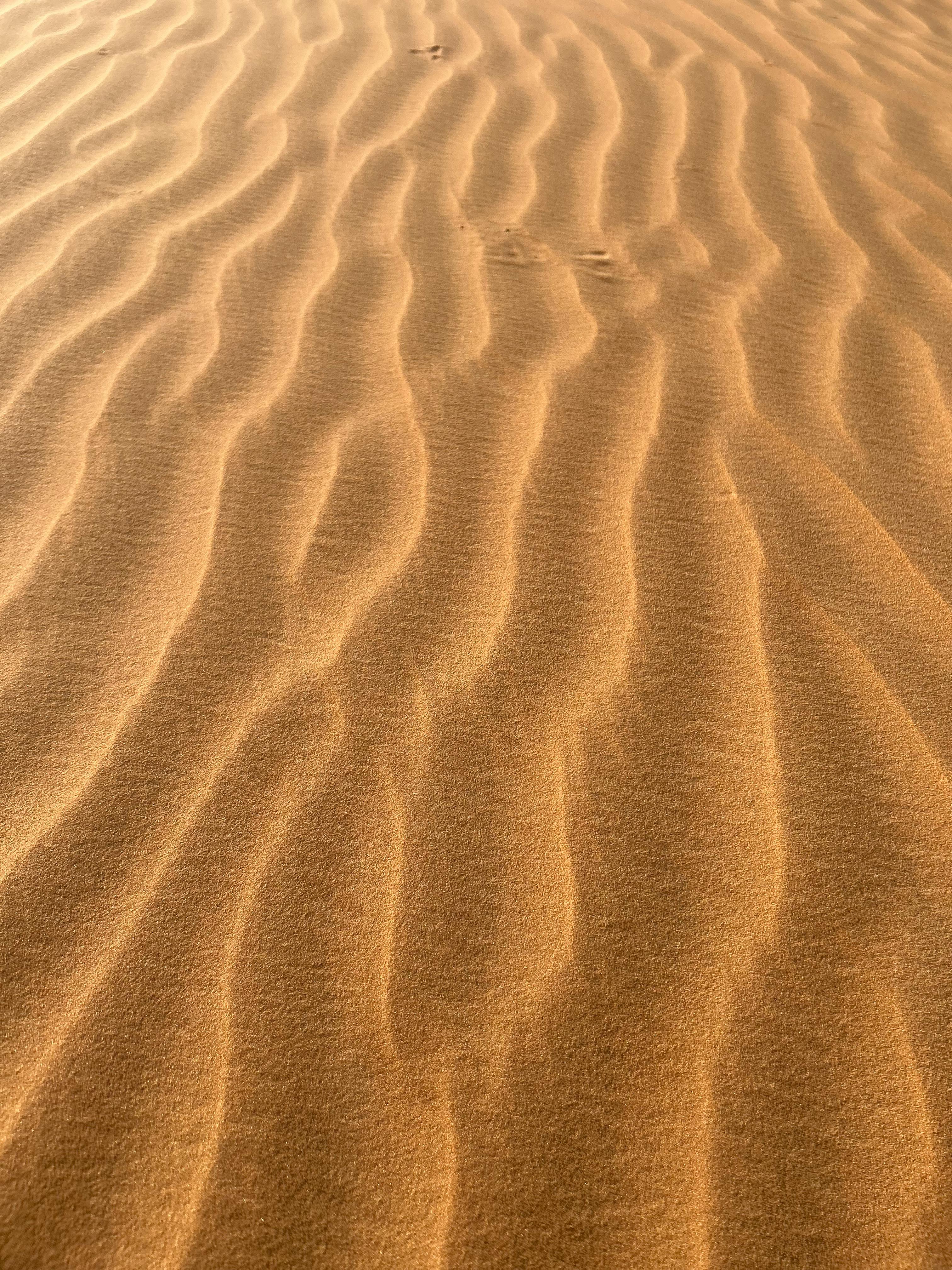 Close-up of wavy sand dune patterns under bright sunlight capturing natural beauty and texture.