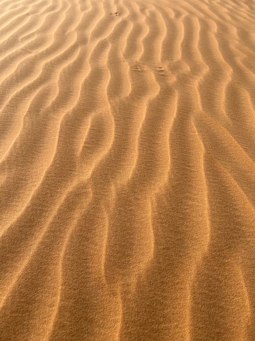 Free Close-up of wavy sand dune patterns under bright sunlight capturing natural beauty and texture. Stock Photo