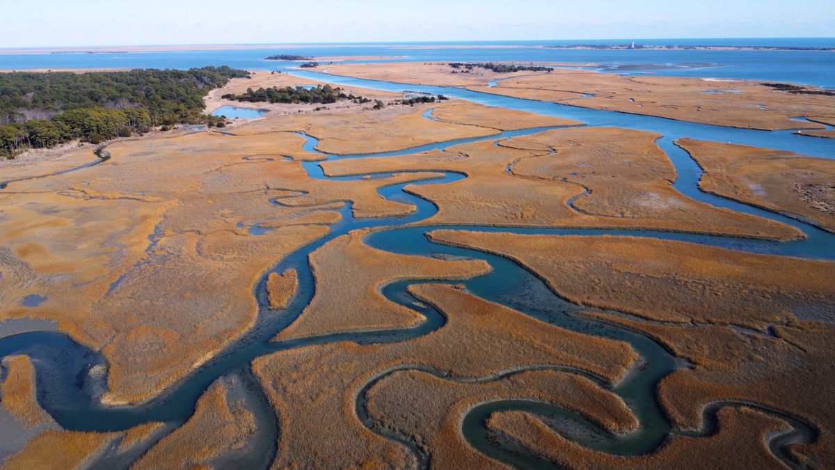 Scenic Aerial View of Intracoastal Waterway · Free Stock Photo