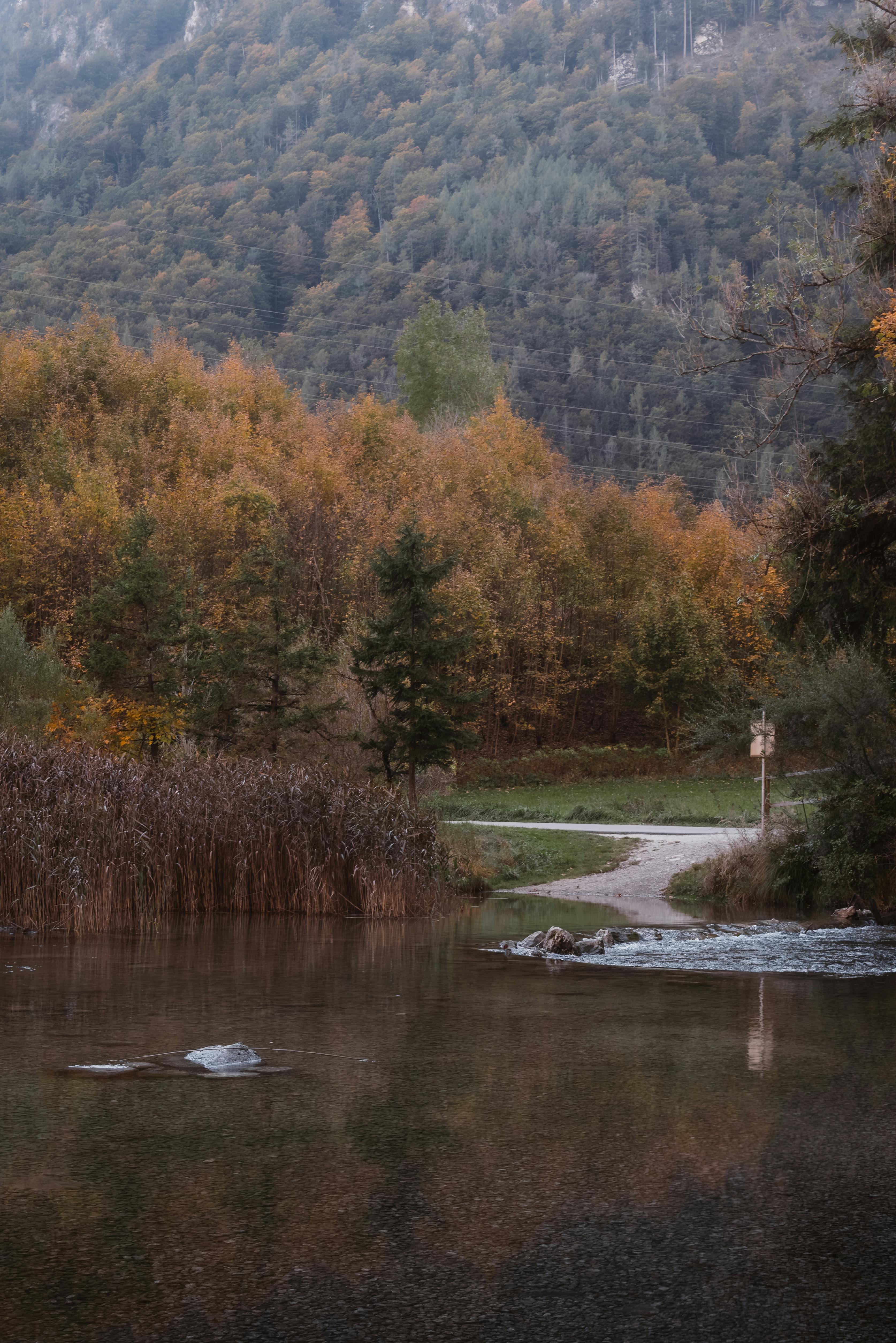 ingyenes Békés őszi táj erdővel, visszaverődő vízzel és túraútvonallal. Stockfotó