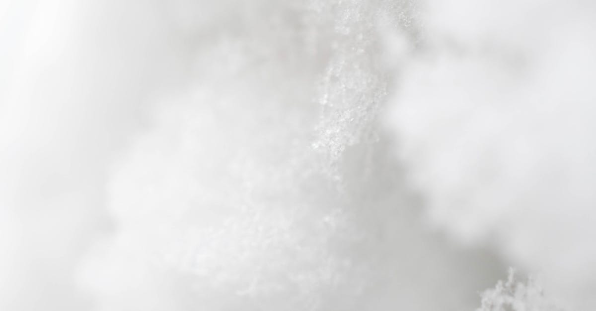 How to freeze squash for frying later