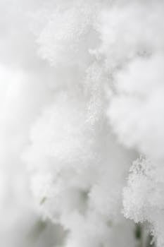 A detailed close-up of fresh, soft snow showcasing fine textures and frost in winter light.
