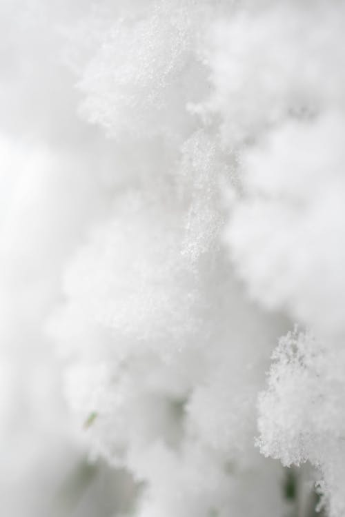 雪のクローズアップ写真