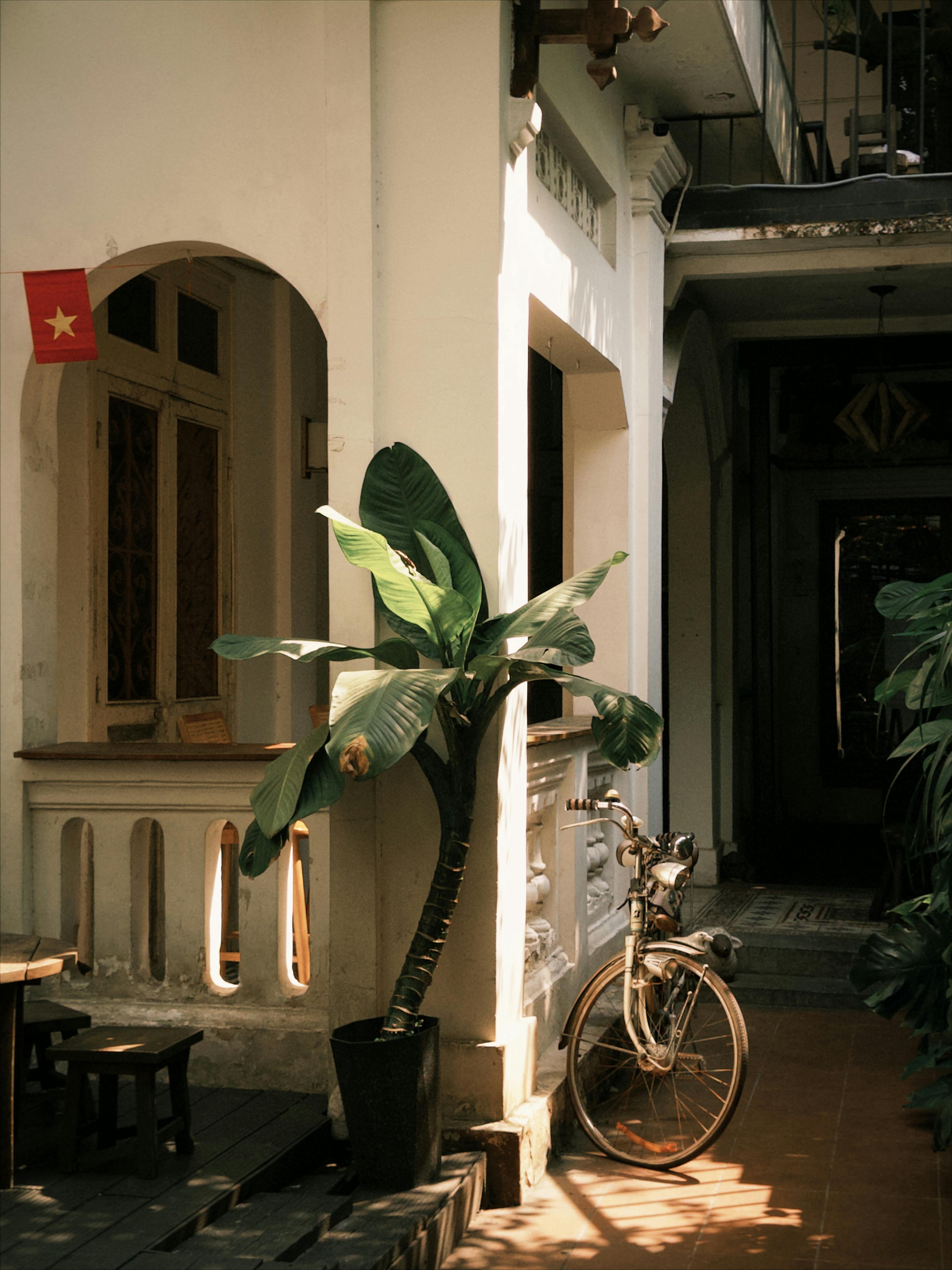 Kostenlos Historisches Gebäude mit Fahrrad und tropischer Pflanze in der Altstadt von Ho-Chi-Minh-Stadt. Stock-Foto