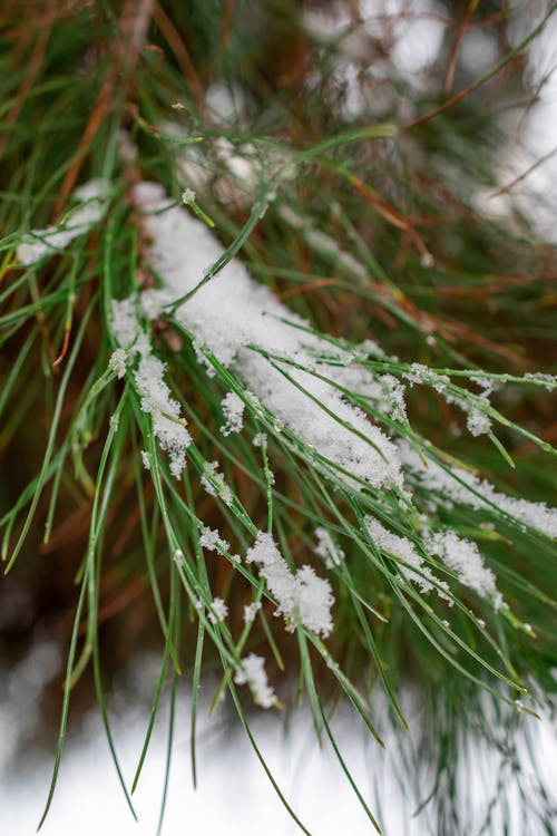 Kostenloses Stock Foto zu afghanistan, der winter kommt !, drucken