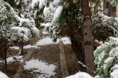 Kostenloses Stock Foto zu afghanistan, der winter kommt !, drucken