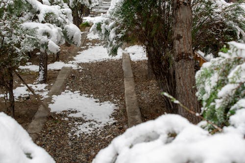 Kostenloses Stock Foto zu afghanistan, der winter kommt !, drucken