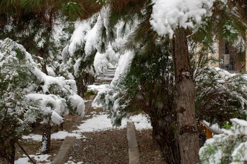 Kostenloses Stock Foto zu afghanistan, der winter kommt !, drucken