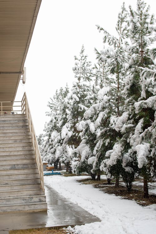 Kostenloses Stock Foto zu afghanistan, der winter kommt !, drucken