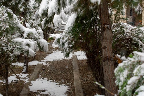 Kostenloses Stock Foto zu afghanistan, der winter kommt !, drucken