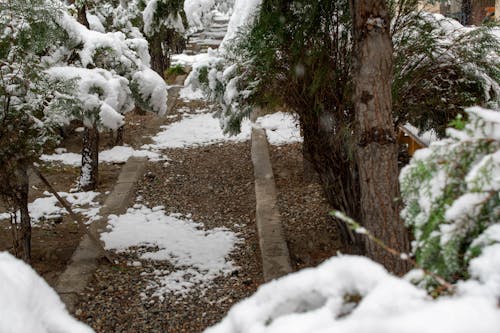 Kostenloses Stock Foto zu afghanistan, der winter kommt !, drucken