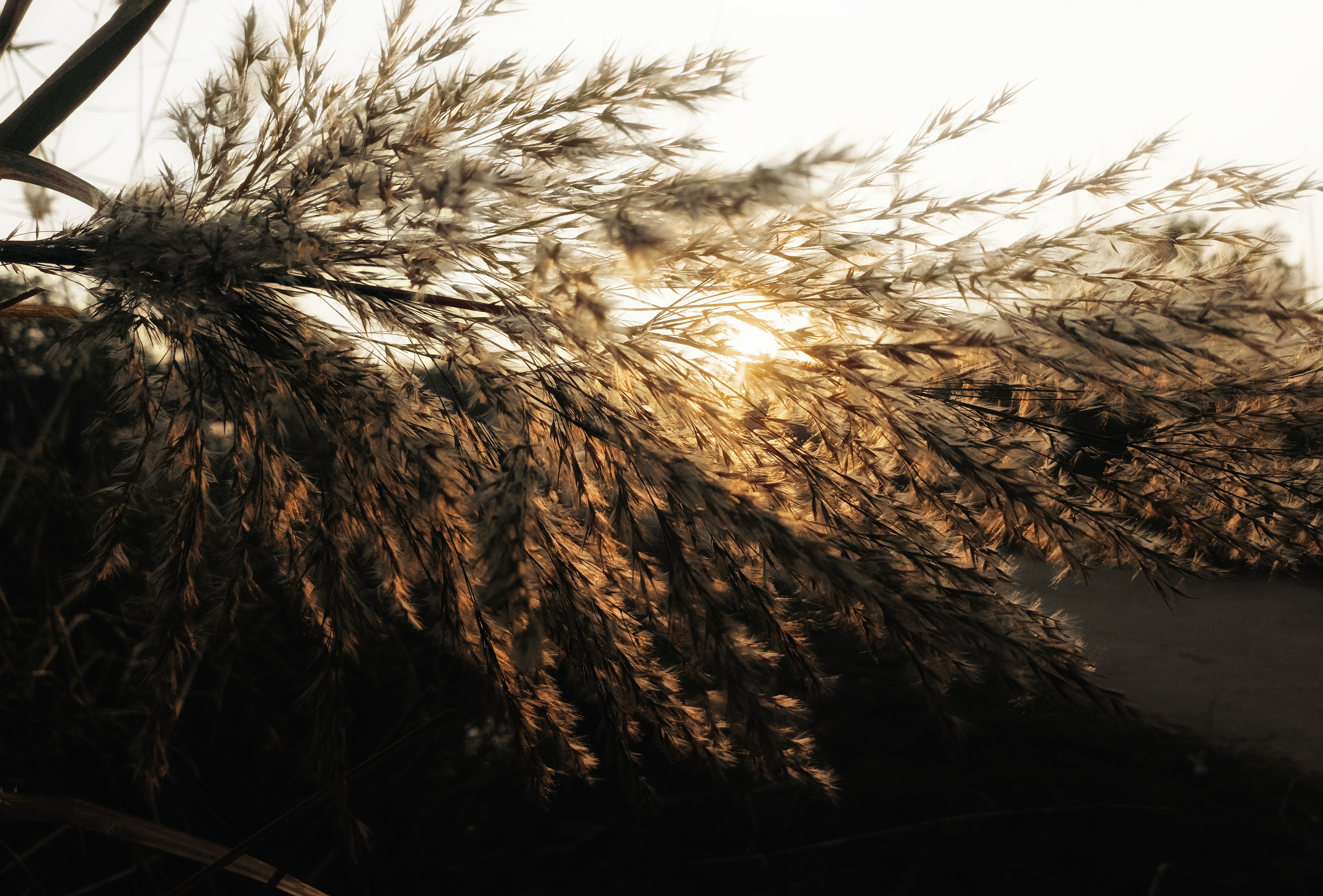 Photography showcase 4