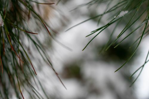 Free stock photo of afghanistan, background, cold Stock Photo