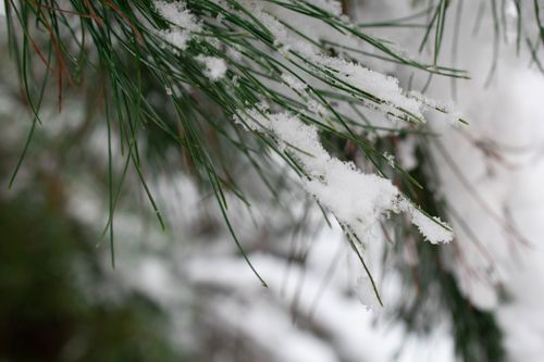 Free stock photo of afghanistan, background, cold Stock Photo