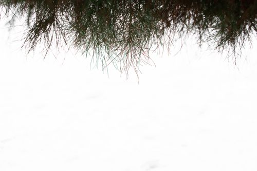 Free stock photo of afghanistan, background, cold Stock Photo