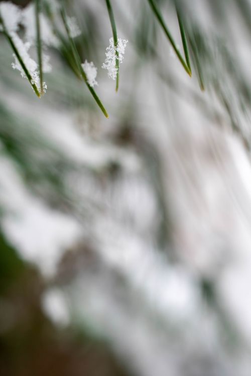 Free stock photo of afghanistan, background, cold Stock Photo