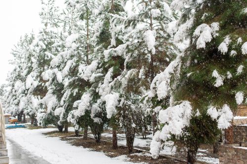 Free stock photo of afghanistan, background, cold Stock Photo