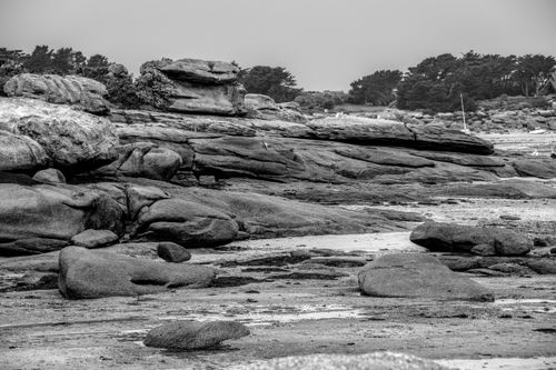 Free Monochrome view of rocky coastal landscape with trees in Brittany, France. Stock Photo