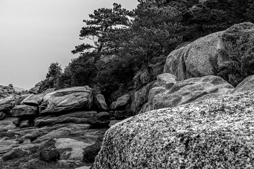 Free Black and white image of striking granite rock formations and trees in Brittany. Stock Photo