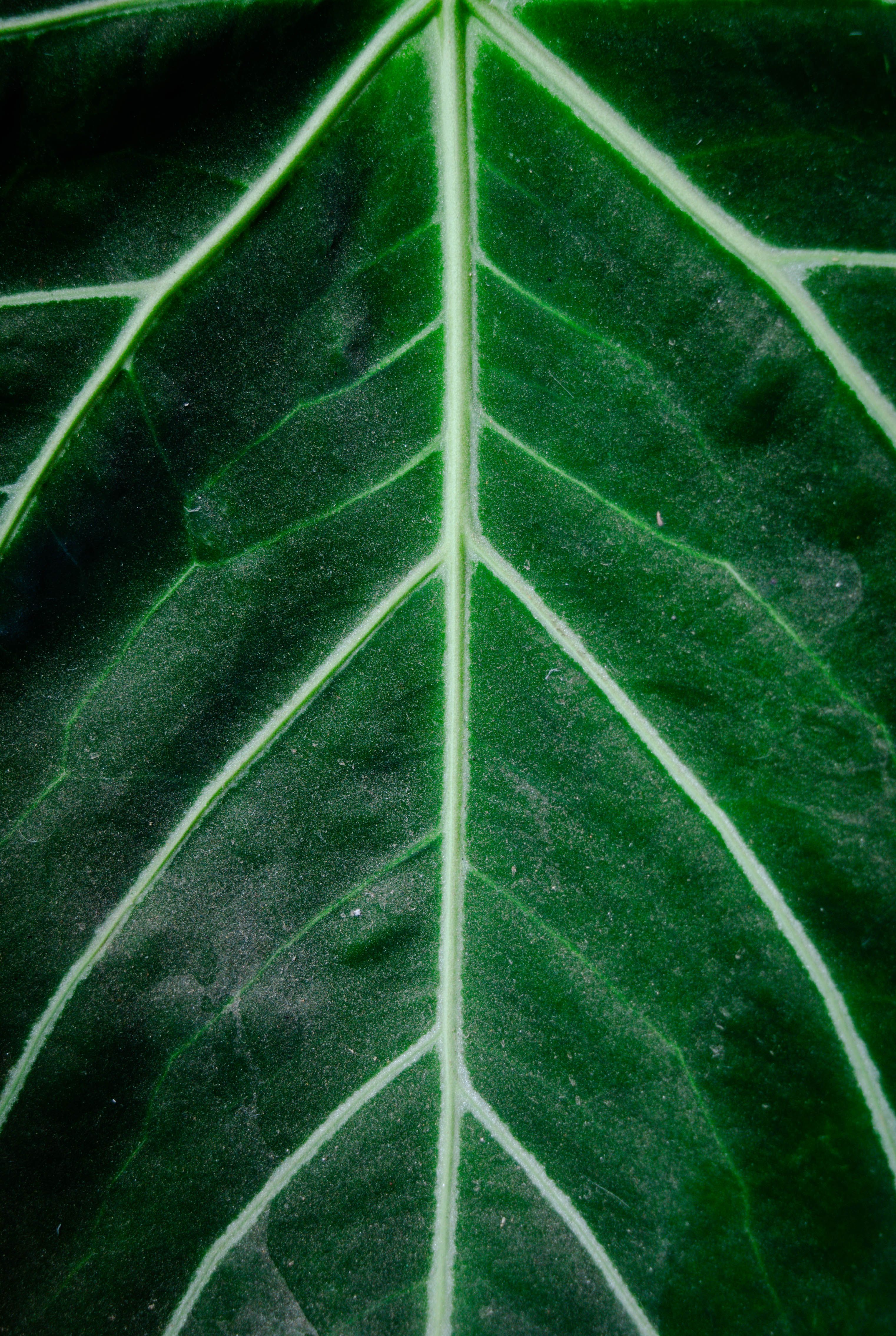 Photo by rakhmat suwandi on pexels