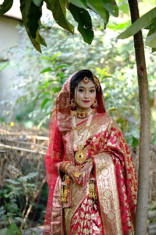 Free Stunning bride in embellished red and gold sari posing outdoors in lush greenery. Stock Photo