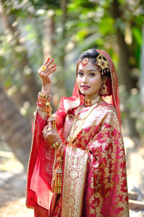 Free A portrait of a beautiful Indian bride in a red and gold sari, adorned with traditional jewelry. Stock Photo