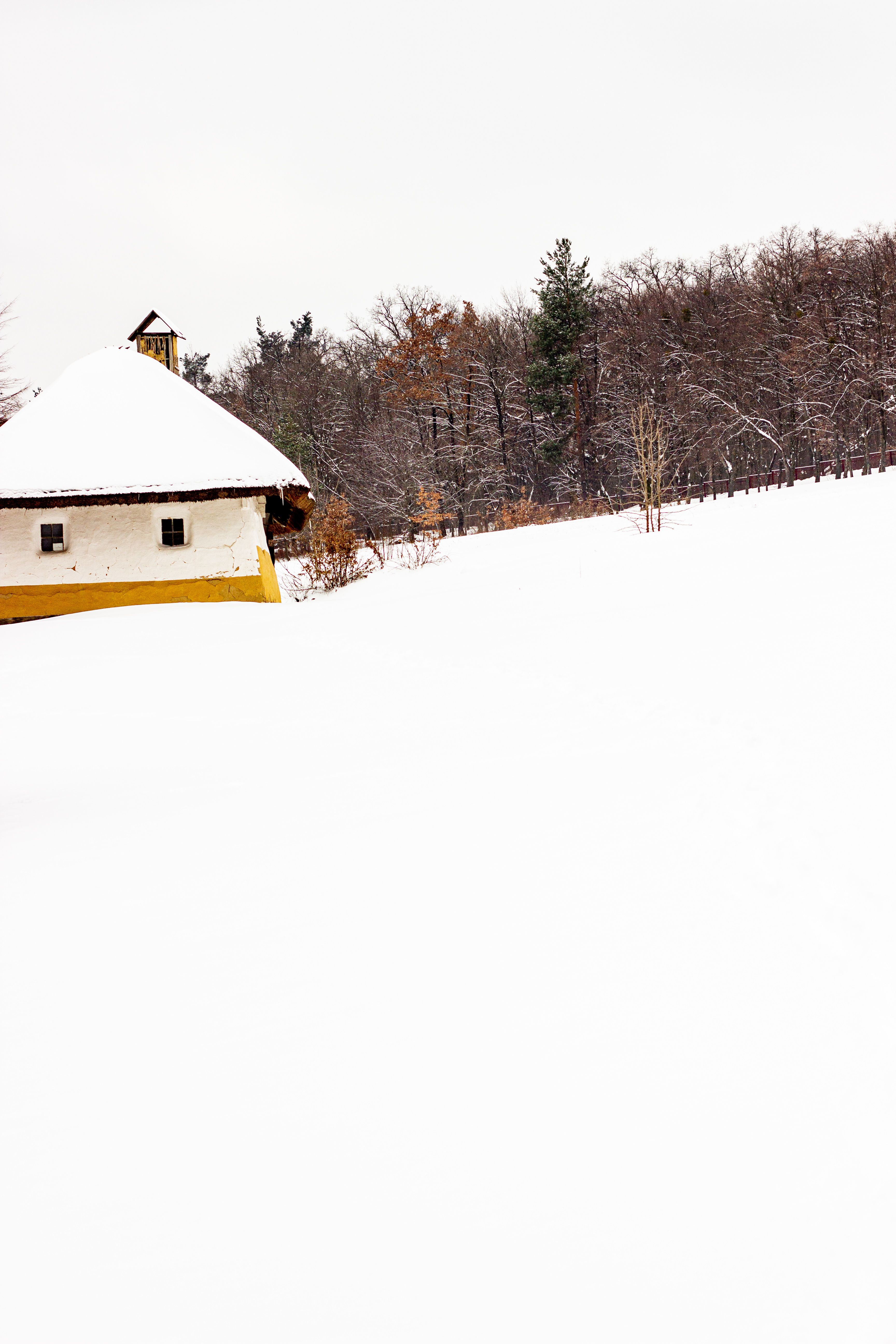 A lone cottage covered in snow amidst a serene winter forest scene.