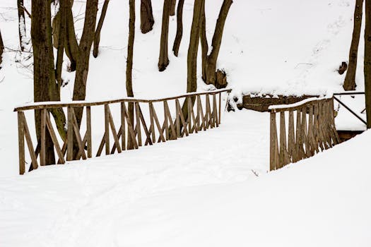 Rustic wooden bridge in a snowy forest captures serene winter beauty.