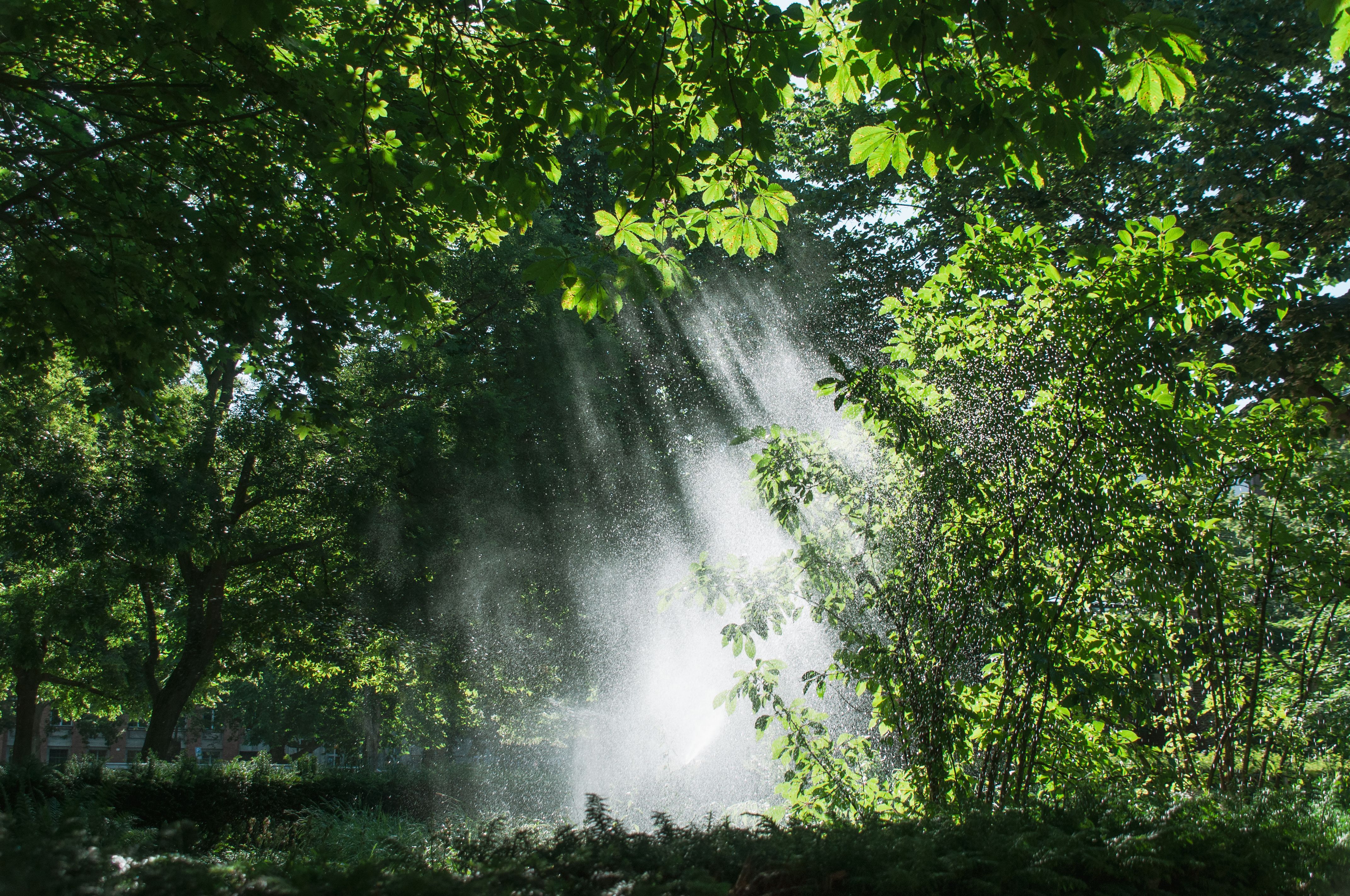 Spraying Mist Sunlight Photos, Download The BEST Free Spraying Mist ...