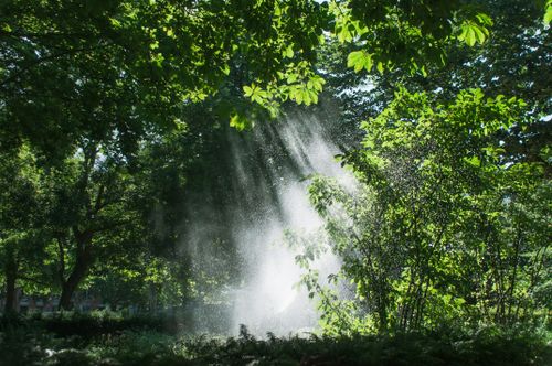Free Captivating sunlit forest with mist rising from a fountain, creating a magical natural scene. Stock Photo