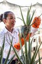 妇女在户外照料多肉植物，展现园艺技能和植物护理