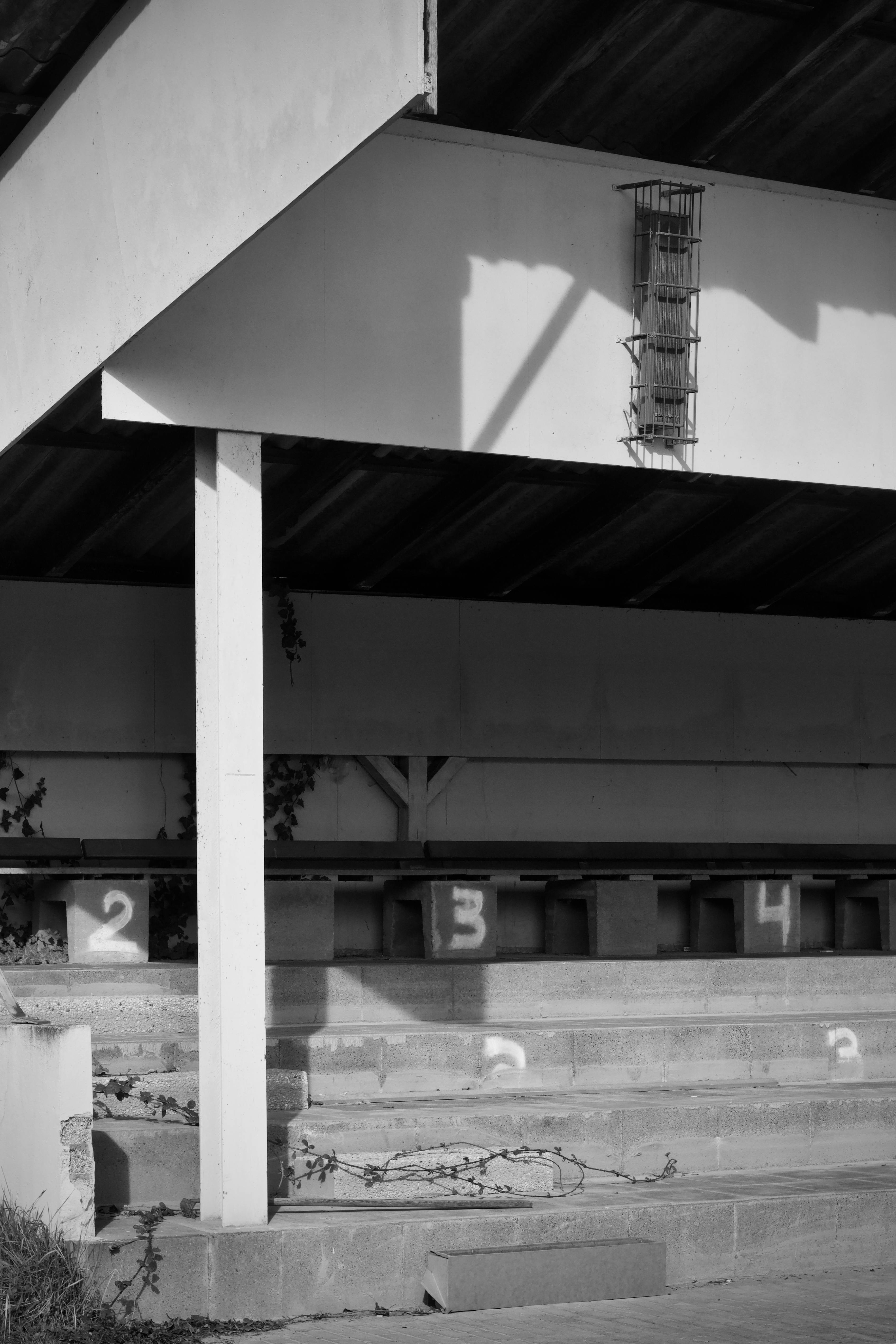 Ücretsiz Numaralandırılmış sıralara sahip boş stadyum koltuklarının siyah beyaz görüntüsü. Stok Fotoğraflar