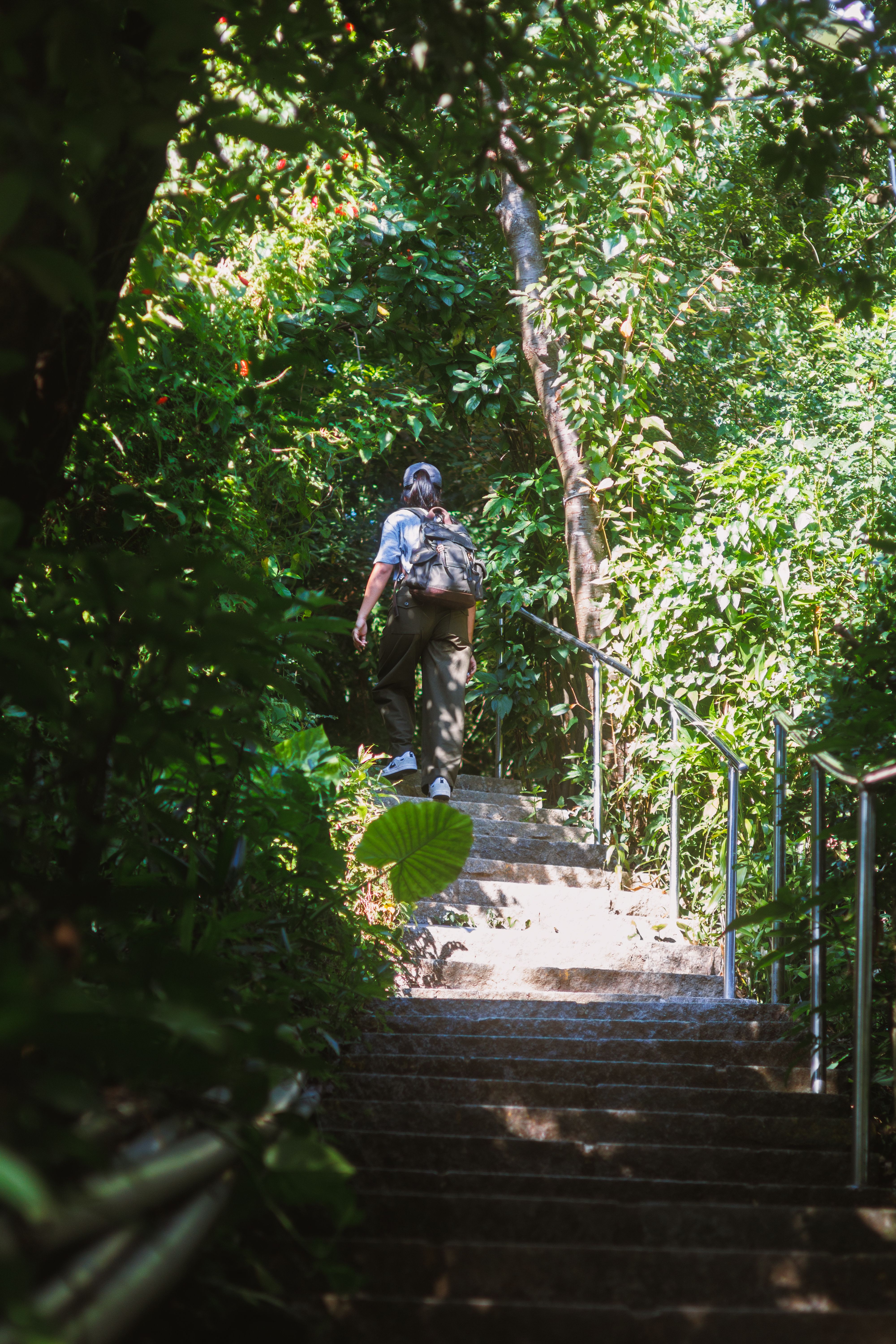 Hiker Exploring Lush Green Forest Stairway · Free Stock Photo